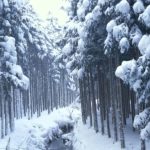 qué significa soñar con nieve