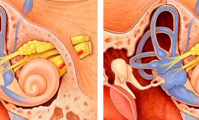 qué significa cuando te pita el oído izquierdo