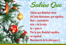qué significa la palabra navidad