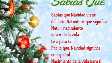 qué significa la palabra navidad