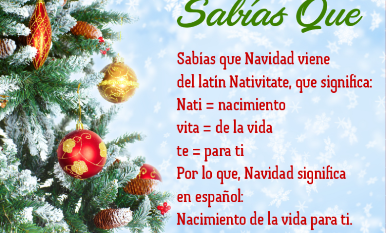 qué significa la palabra navidad