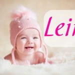 qué significa leire