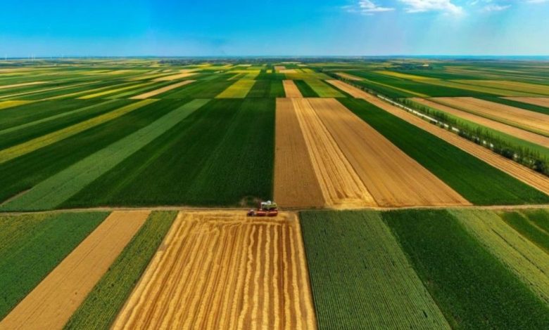 qué significa barbecho