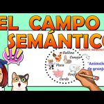 qué significa campo semántico