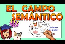 qué significa campo semántico