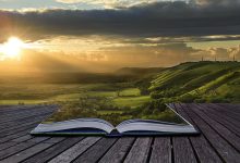 'sabiduria sabias frases cortas