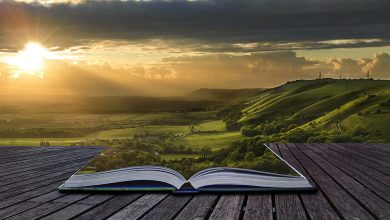 'sabiduria sabias frases cortas