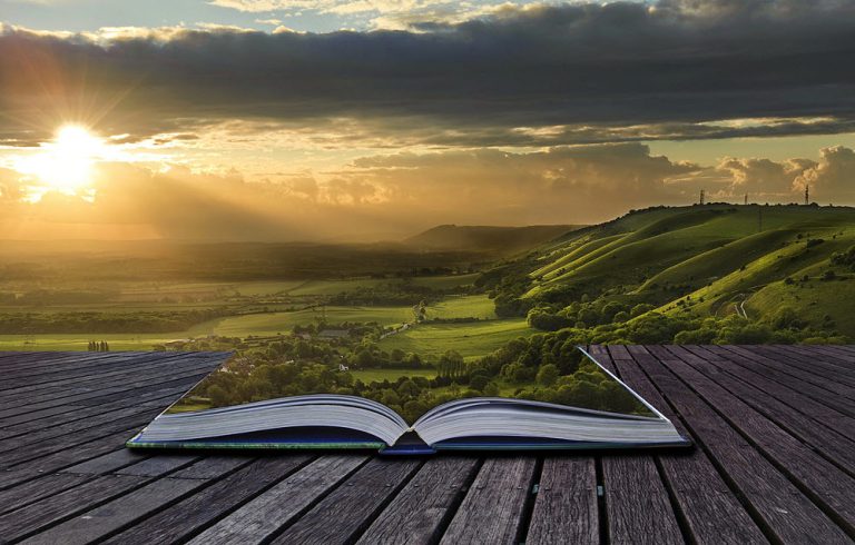 Sabiduría: Frases Sabias Cortas para Reflexionar y Aprender