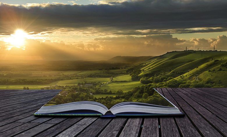 'sabiduria sabias frases cortas