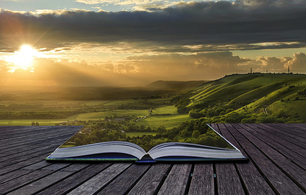 'sabiduria sabias frases cortas