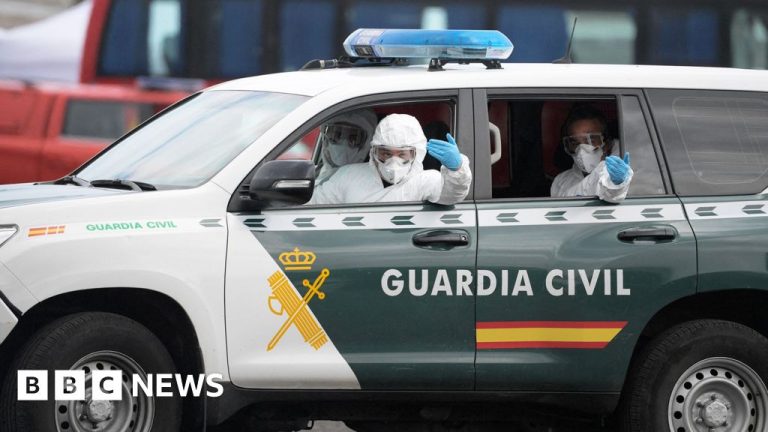 Hantavirus: ¿Cómo responden los países al brote del crucero?